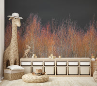 The trees are tall and their silhouettes are visible against the light.

