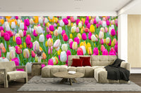 The composition is a wide, horizontal view.

