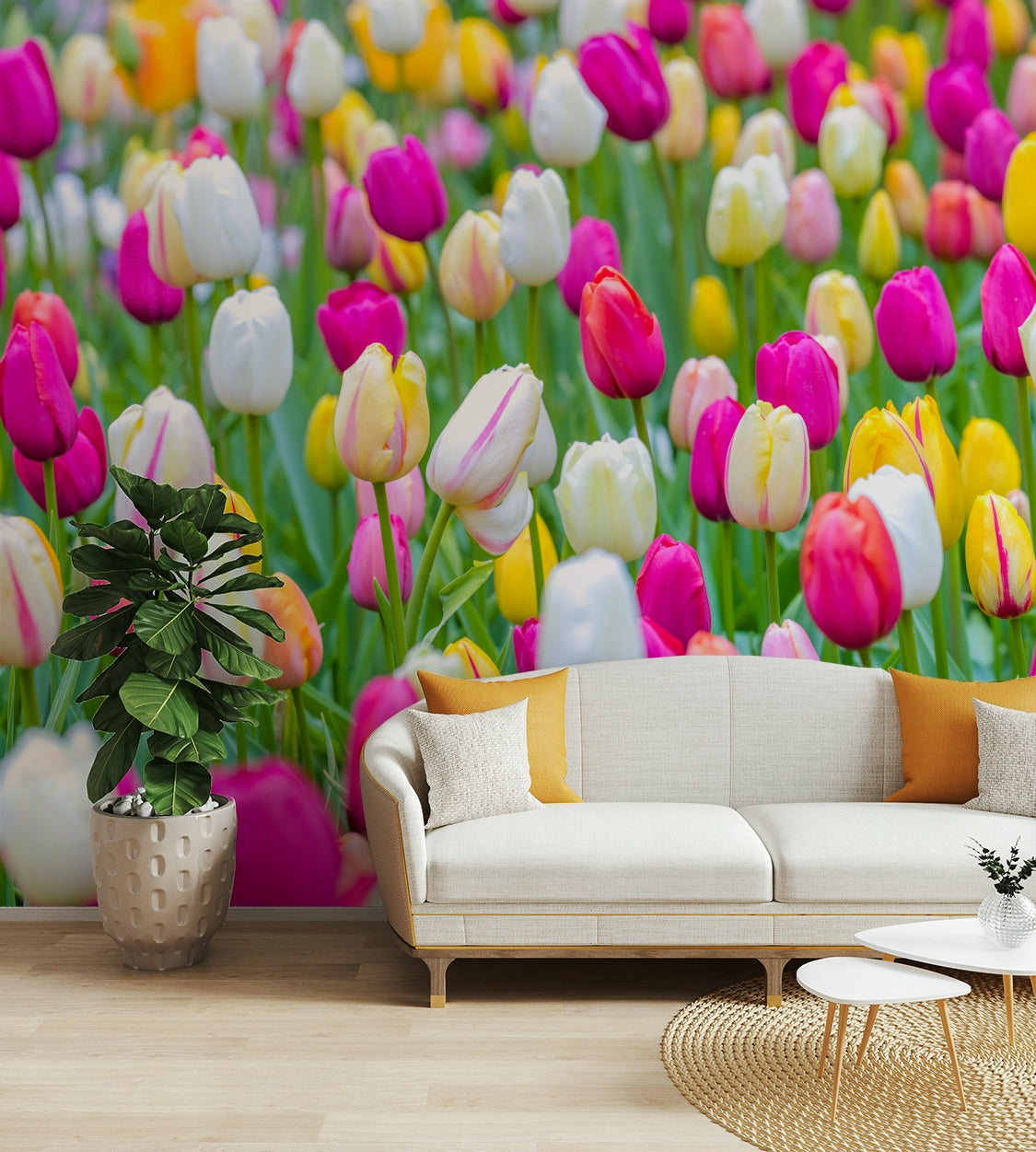 The image feels peaceful and restful.

