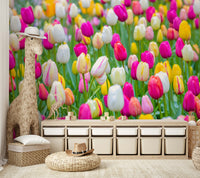 The field of flowers stretches across the entire image.

