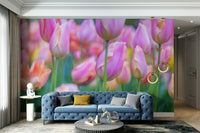 The overall feel is quiet and serene.

