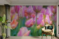 The background is a soft, light color, perhaps a soft blue or green.

