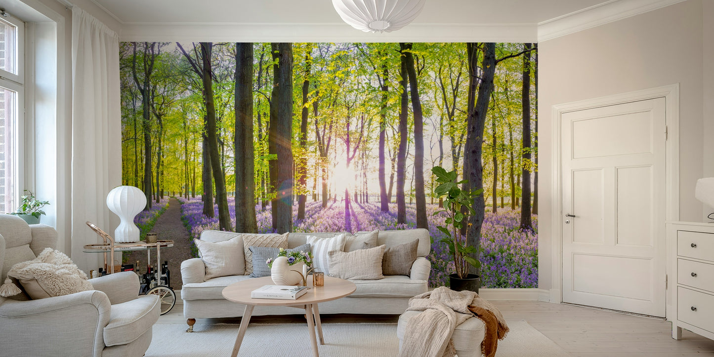 Sunlight filters through the trees, casting a soft light.

