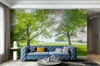 The design feels graceful and peaceful.

