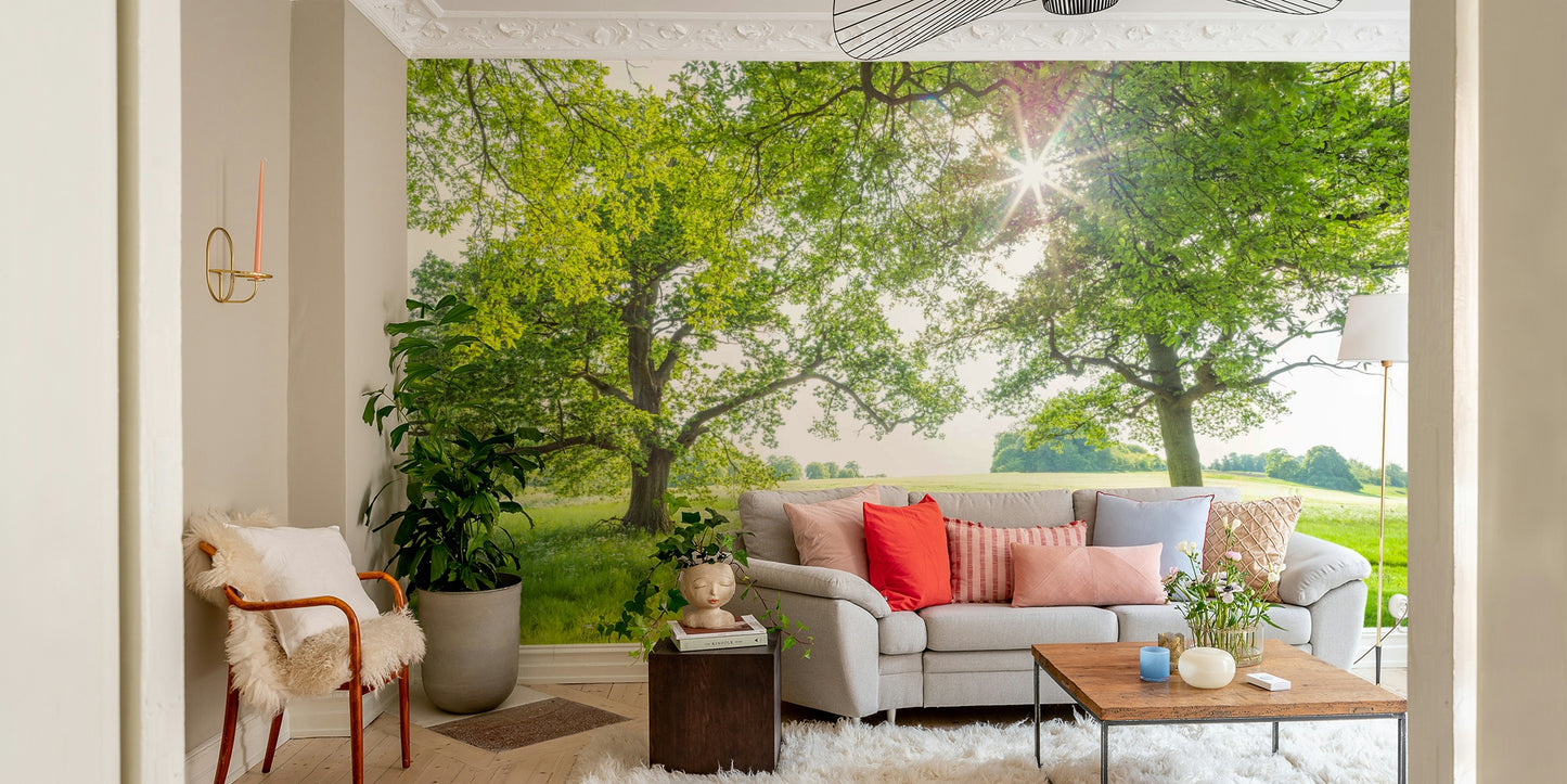 The sky is a soft, light color.

