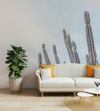 The image has a calm, tranquil mood.

