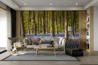 The composition shows the path leading into the forest.

