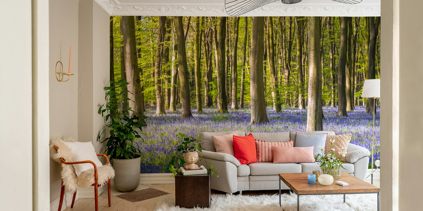 Tall, straight trees line the woods.

