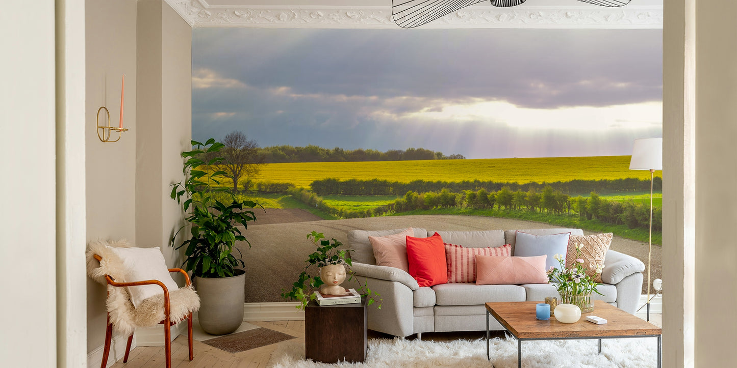 The fields are wide and stretch into the distance.

