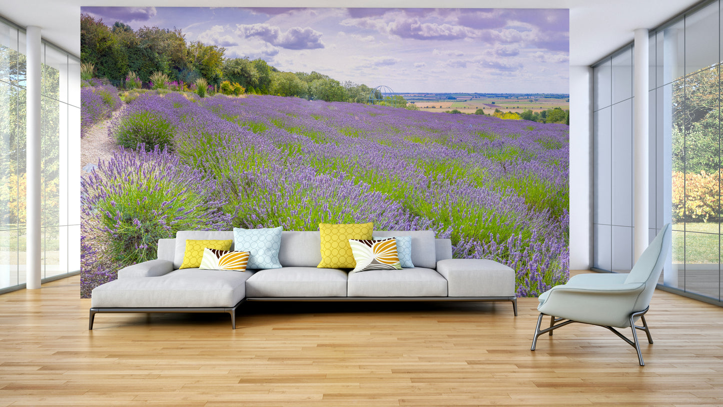 The composition is full and detailed.

