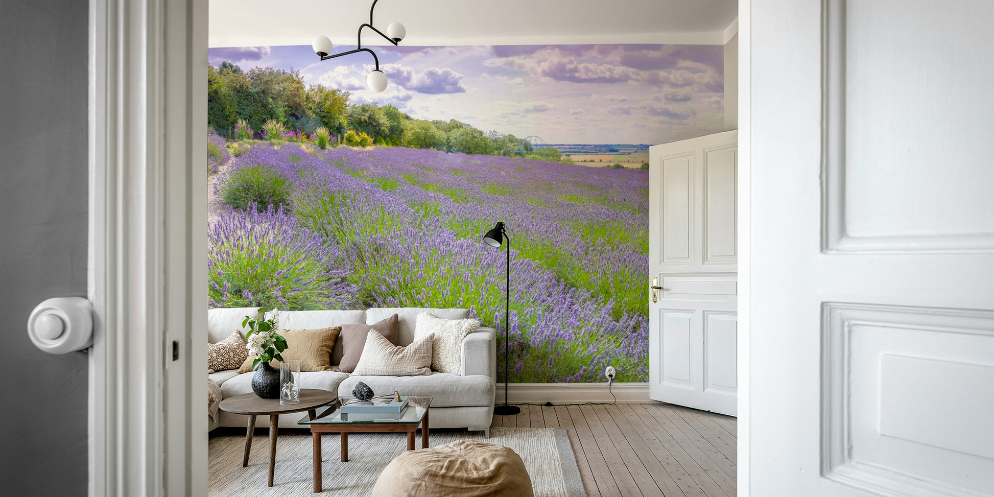 The background is a soft, light color.

