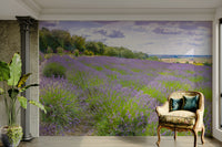 The image has a calm, tranquil mood.

