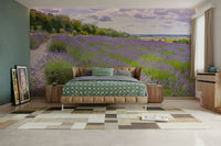 A peaceful wall mural with a field of lavender.

