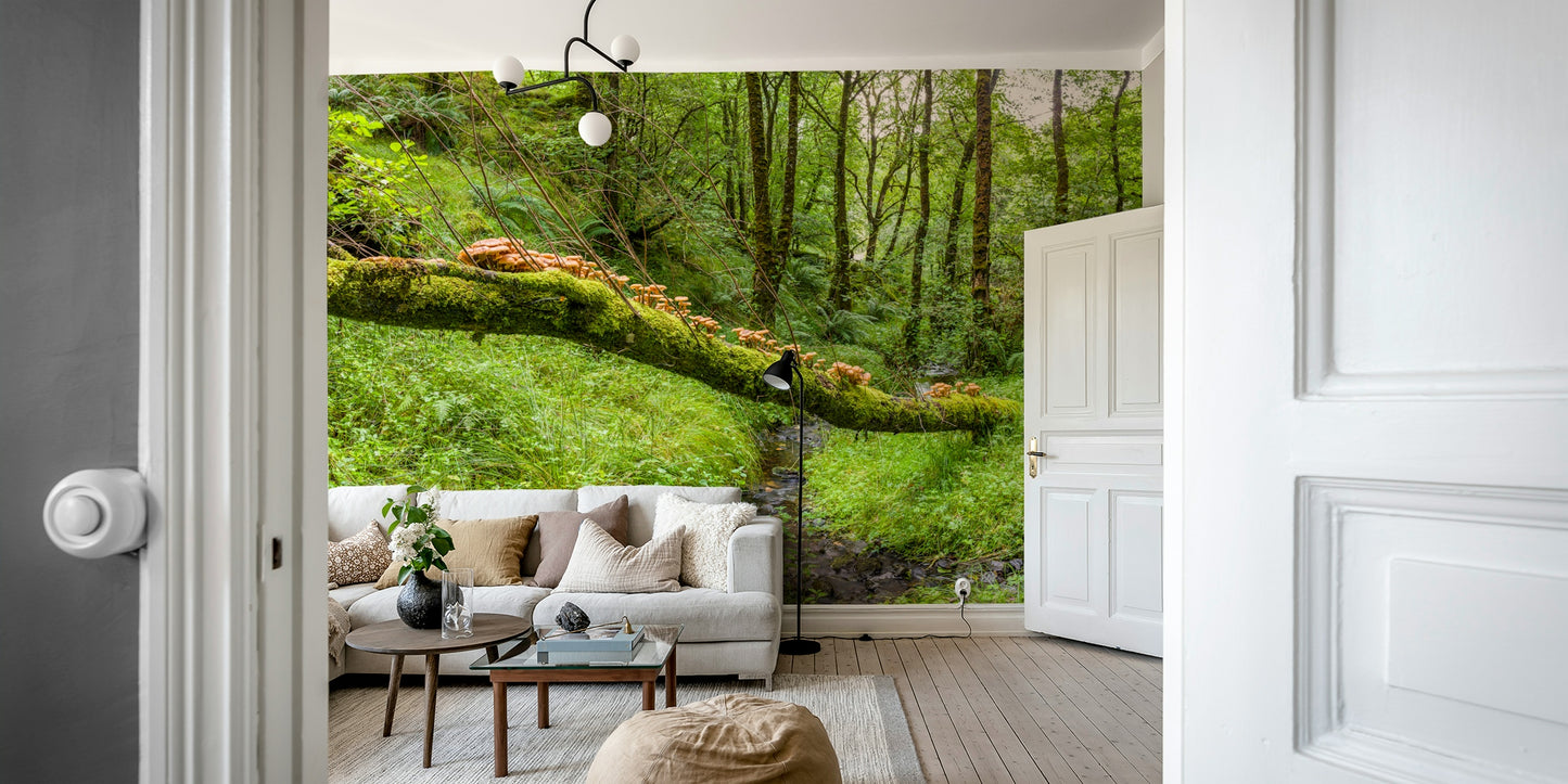 Forest Floor Harmony Wall Mural