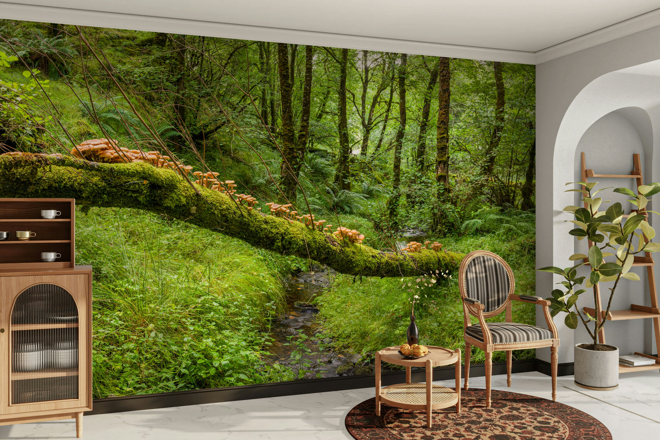 Forest Floor Harmony Wall Mural