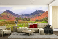 A beautiful panoramic view of the Lake District with mountains and fields.

