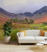 The wallpaper for walls being admired in a home.

