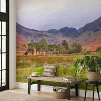 The wallpaper is used as a feature wall in a bedroom.

