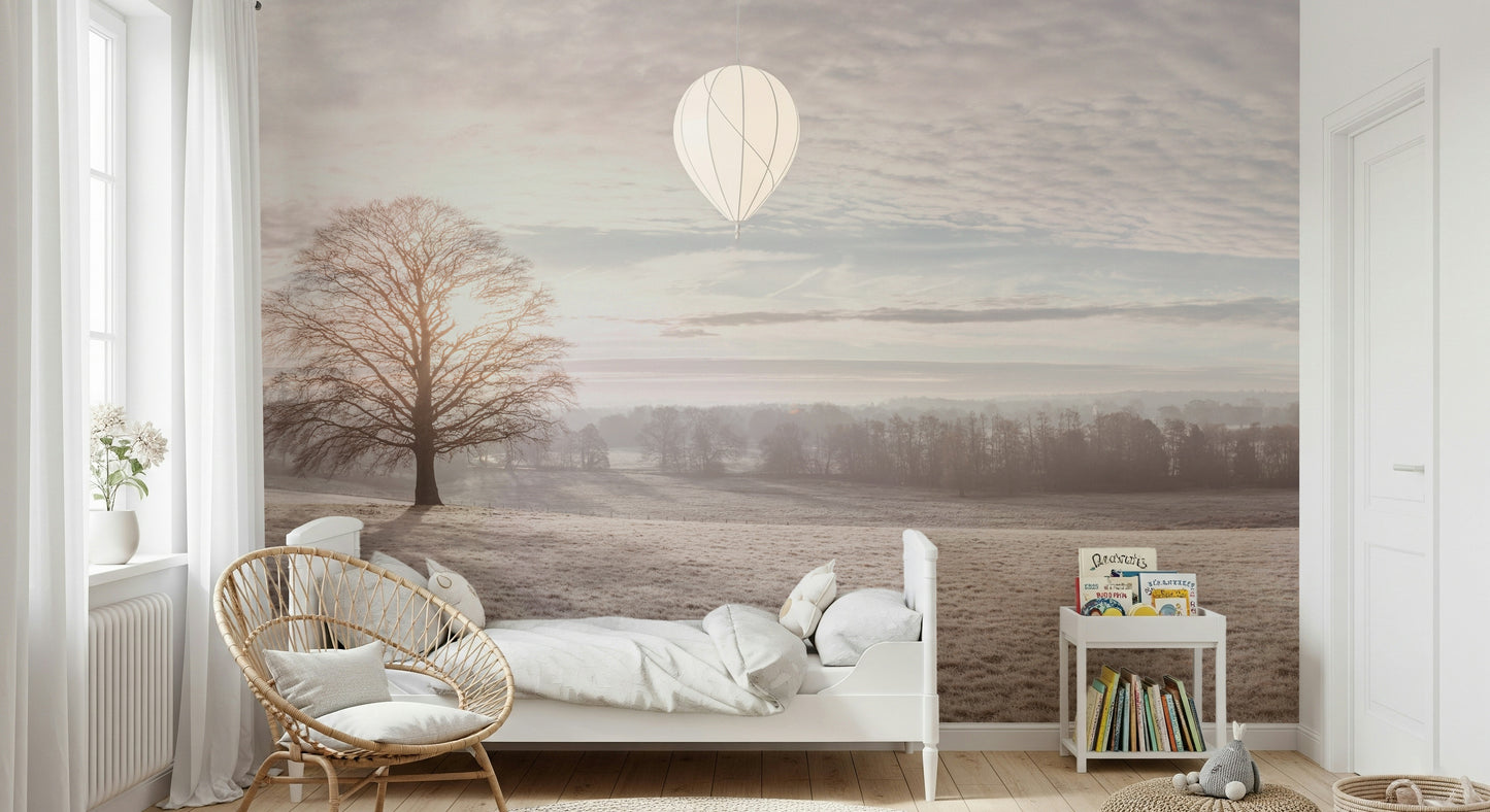 Winter's Soft Light Wall Mural