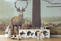 A minimalist interior with the forest-themed wallpaper.

