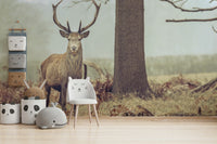 A detail shot of the elegant animal against a natural backdrop.

