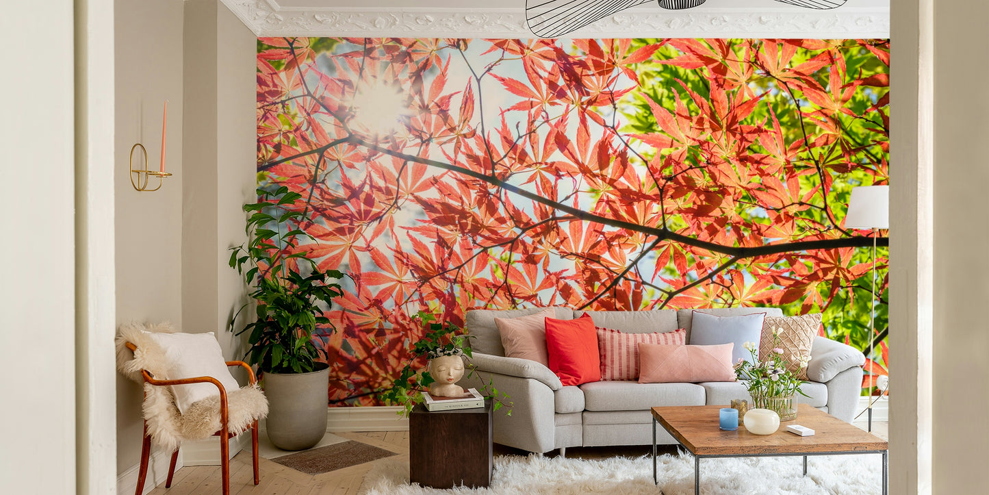 Autumn Leaves Wall Mural