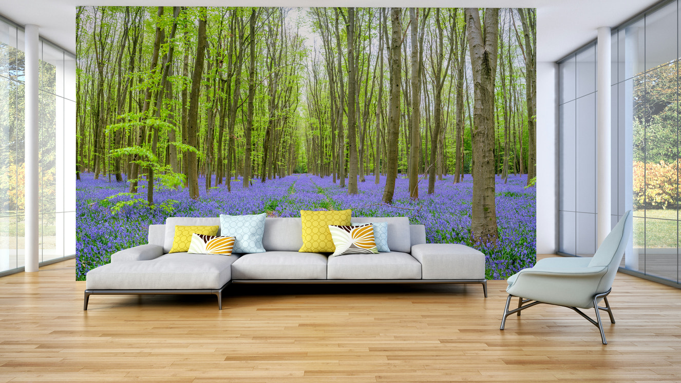 Enchanted Bluebell Woods Wall Mural