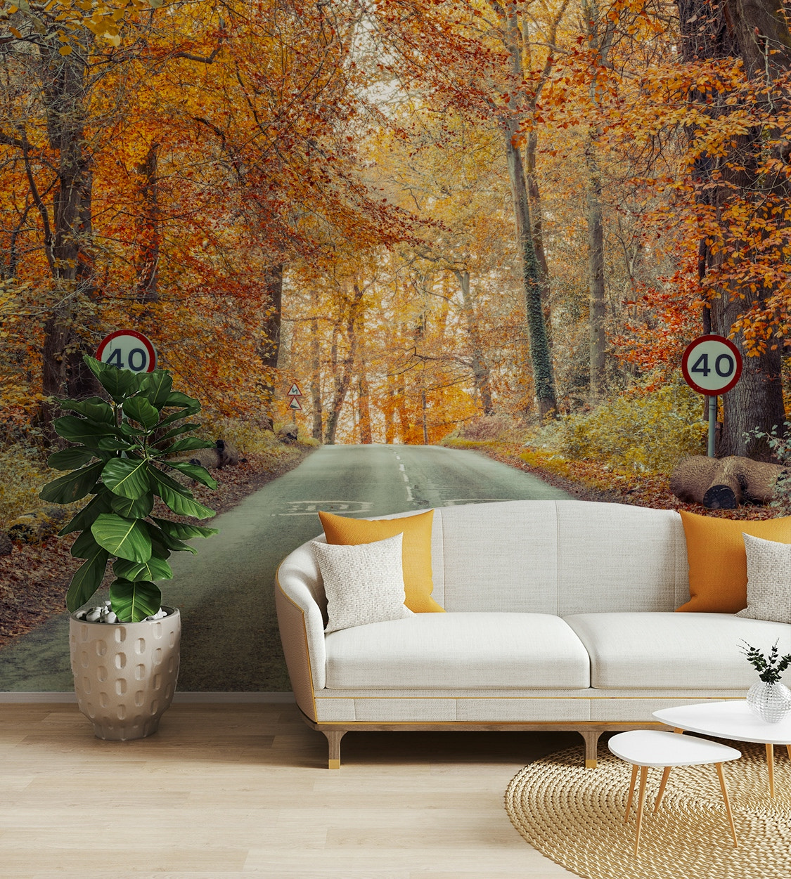 Scenic Drive Through Fall Colors Wall Mural