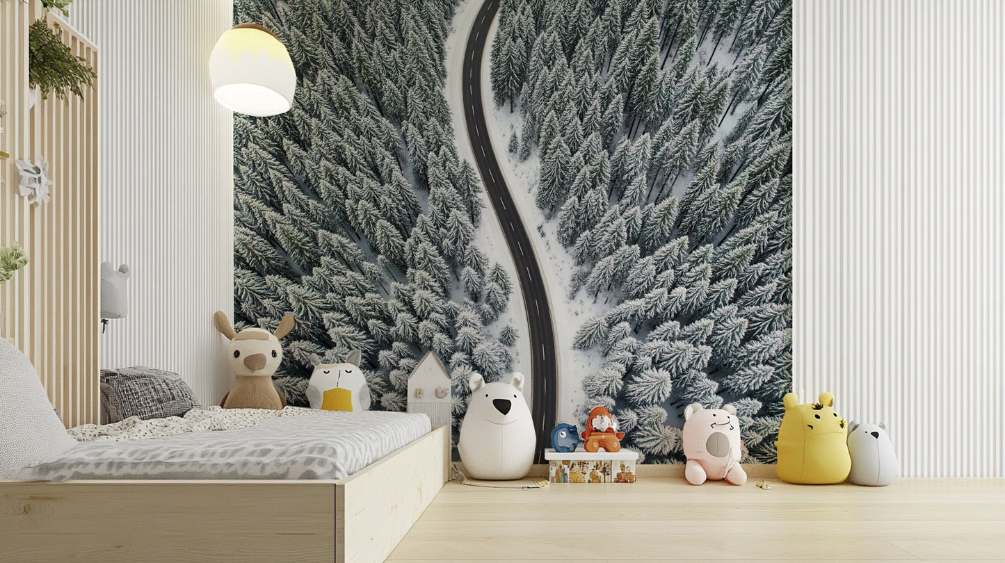 Winter Road Wall Mural