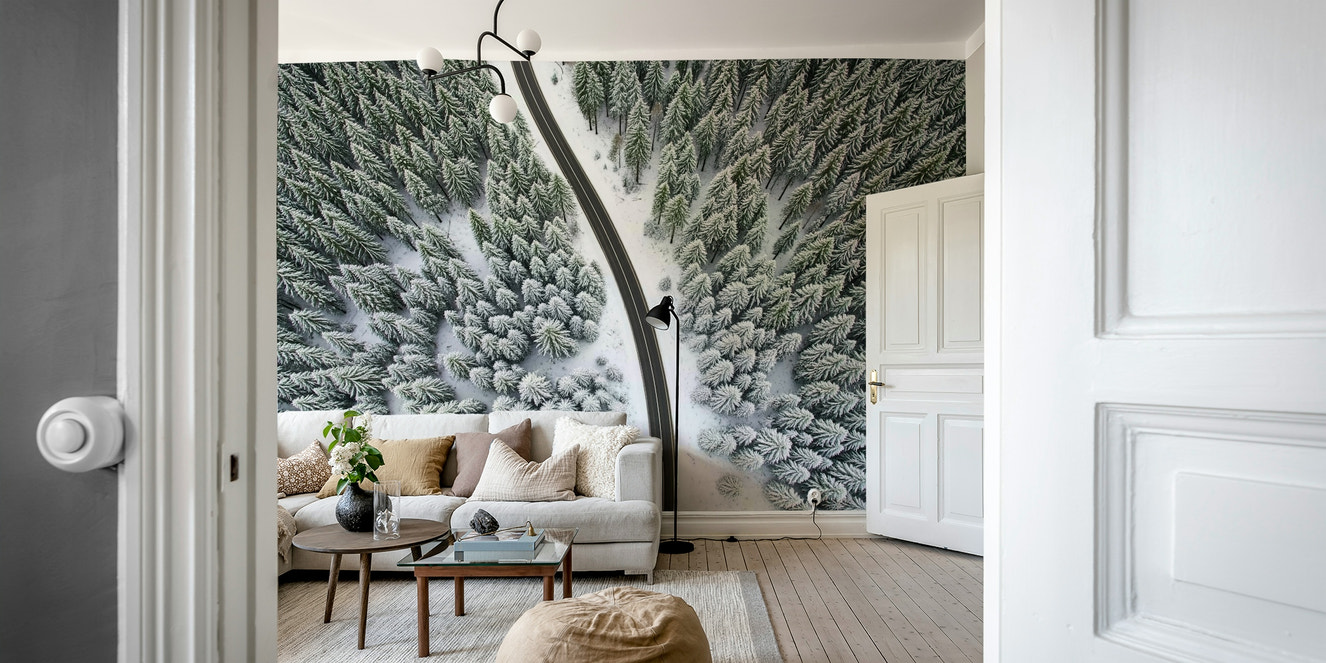 Winter Road Canopy Wall Mural