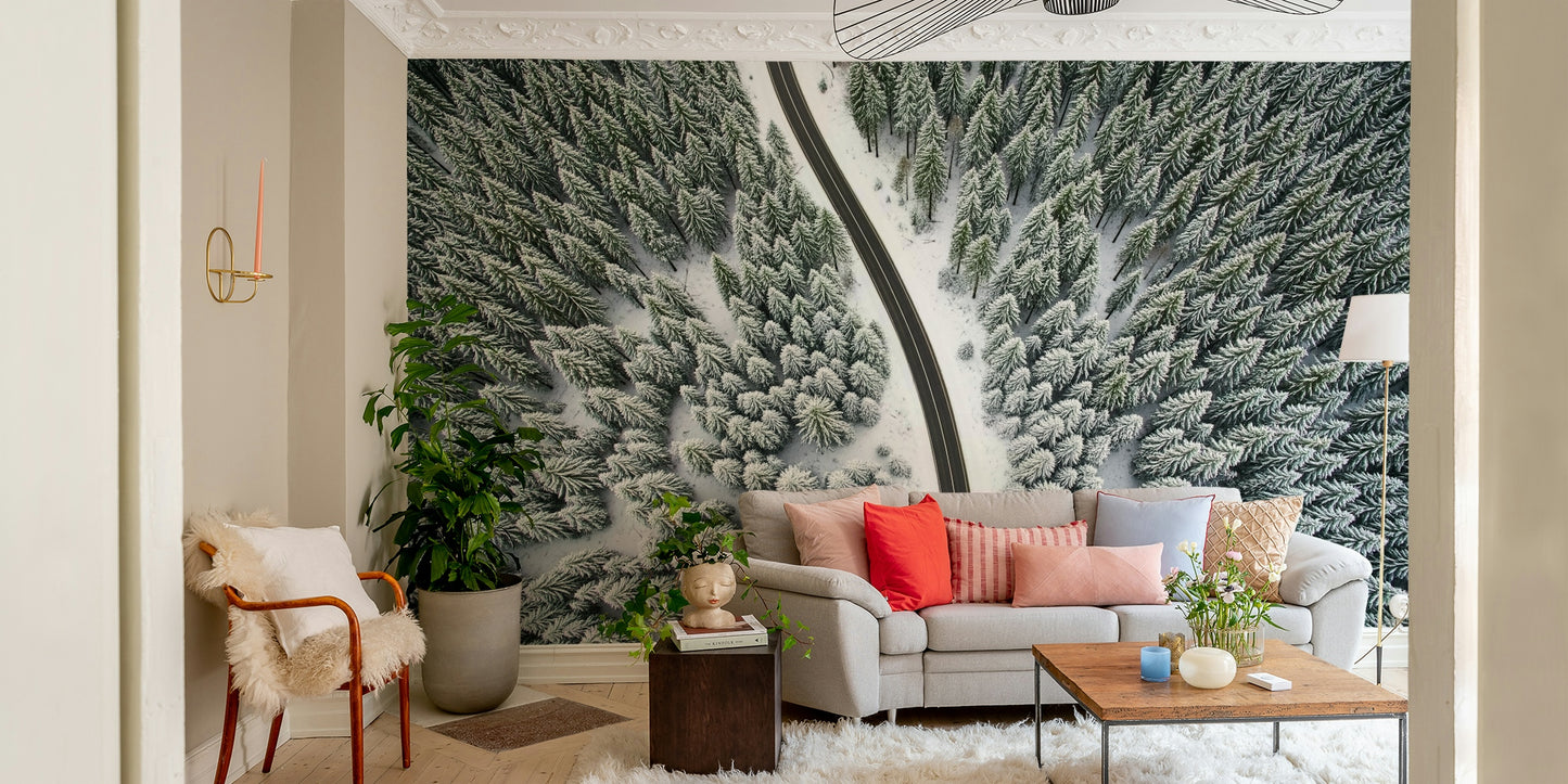 Winter Road Canopy Wall Mural