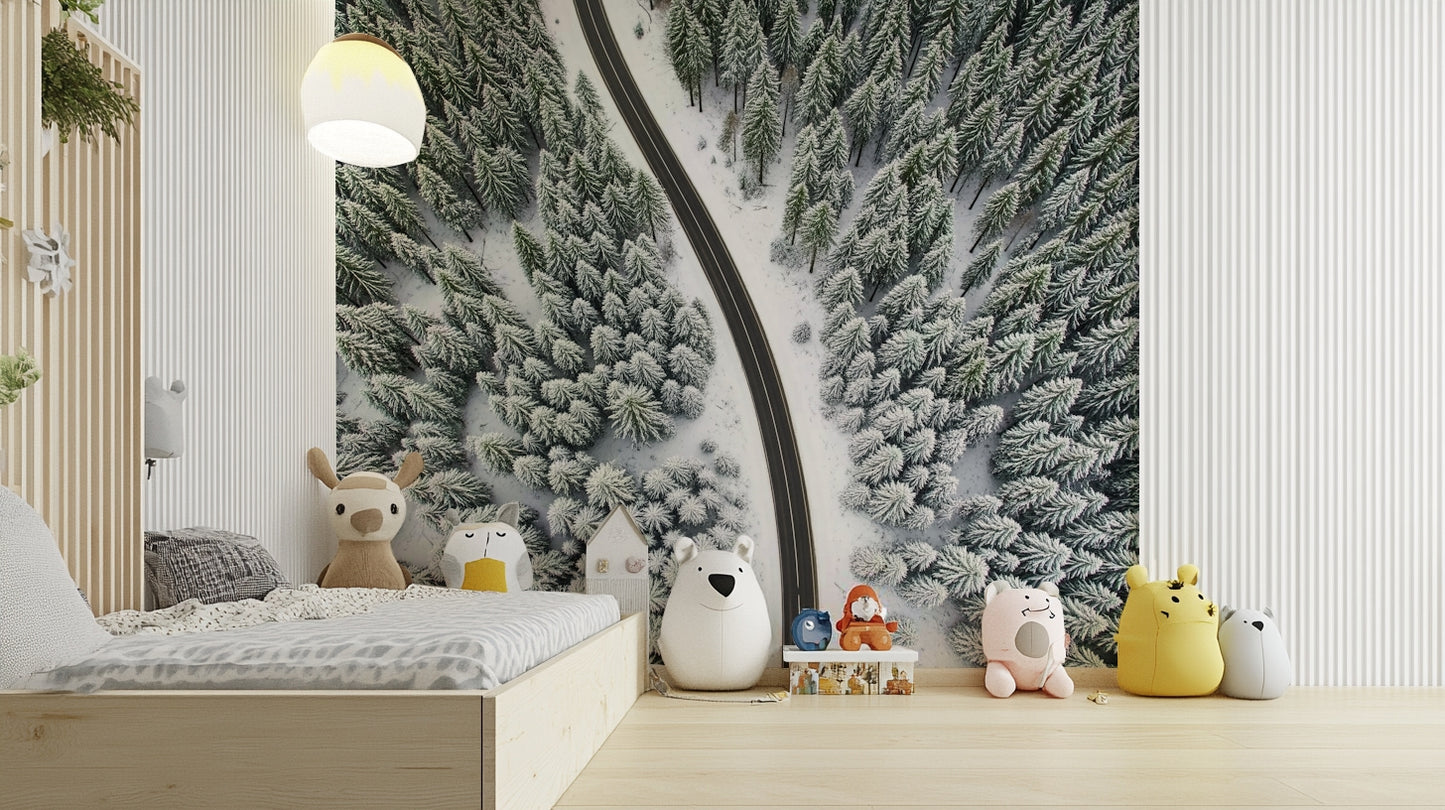 Winter Road Canopy Wall Mural