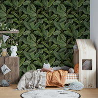 Close-up of a dense rubber tree leaf pattern

