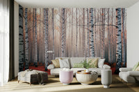 The image has a calm, tranquil mood.

