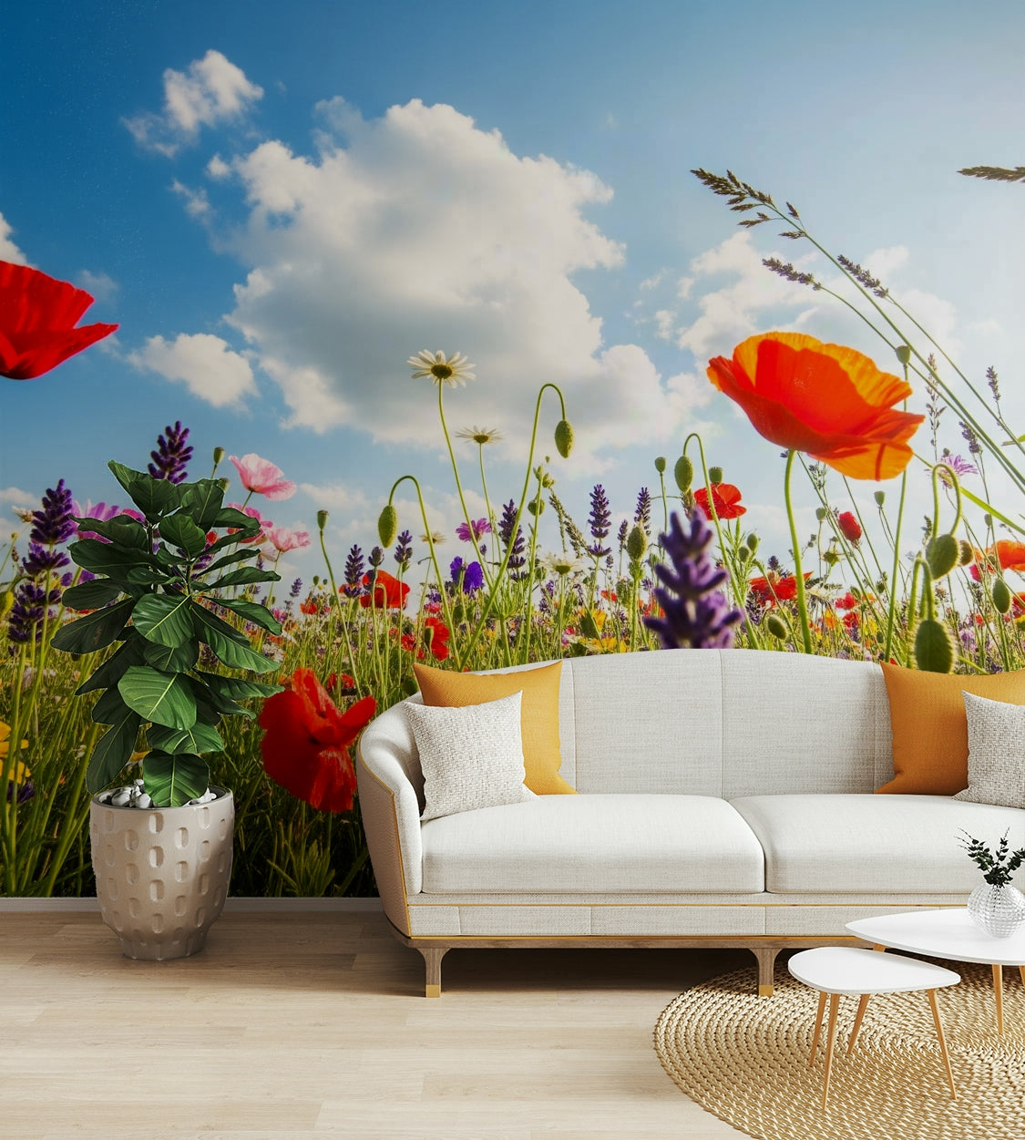 The lines are soft, not sharp.
