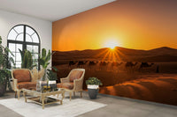 View of sand dunes and a caravan

