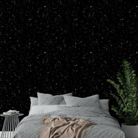 The sky is filled with a dense pattern of tiny stars.
