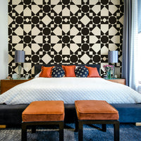 An interior with a modern and elegant accent wall

