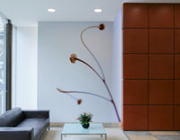 The wallpaper is used to create a feature wall in a dining room.