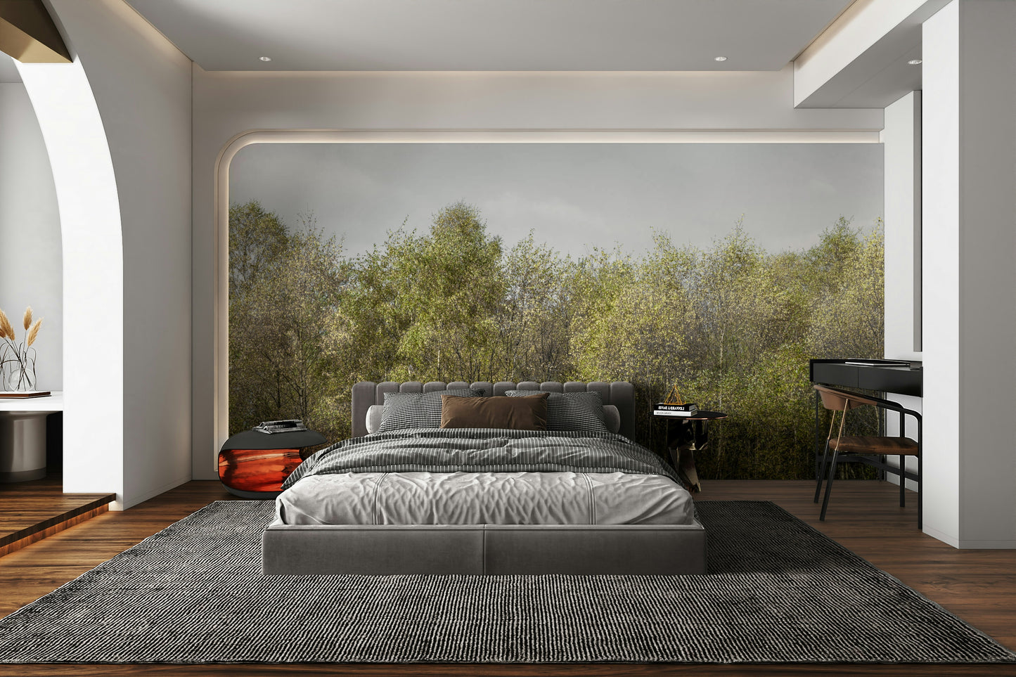 A beautiful forest scene with tall birch trees.

