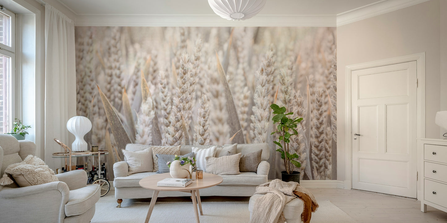 A beautiful serene field wallpaper mural of golden grain.

