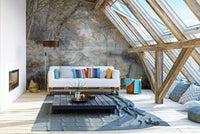 A peaceful forest reflection wallpaper mural for a feature wall.

