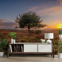 A calming single tree design wallpaper mural that defines a space.

