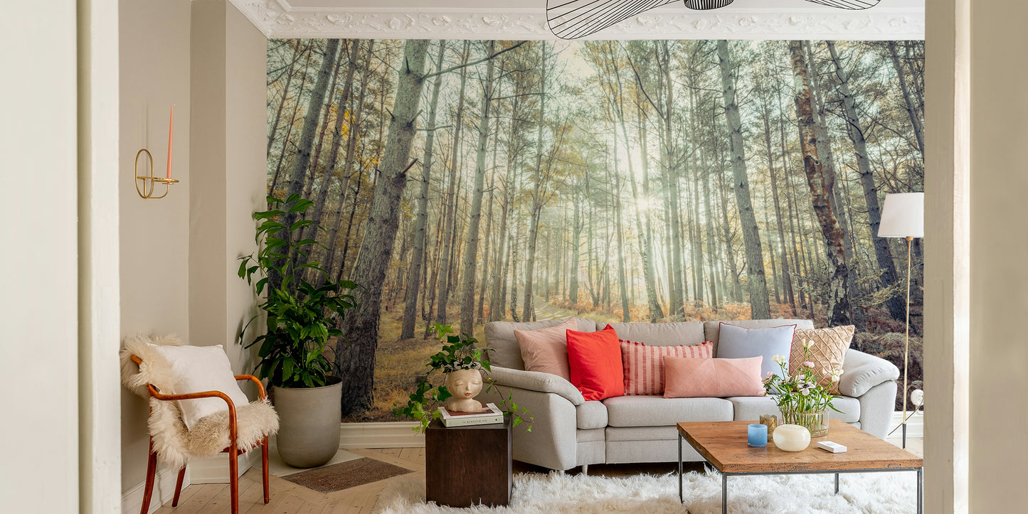 A classic natural wallpaper for walls with sunbeams.

