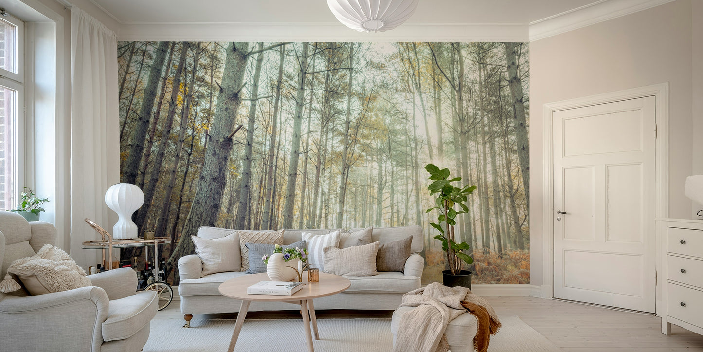 A peaceful tree-lined path mural on decorative wallpaper.

