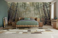 A contemplative forest path wallpaper mural for a feature wall.

