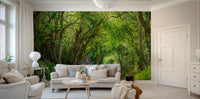 A classic forest path wallpaper for walls.

