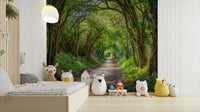 A peaceful forest journey wallpaper mural for a feature wall.

