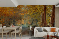 A contemplative autumn scene wallpaper mural for a feature wall.

