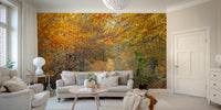 A classic autumn wallpaper for walls with fallen leaves.

